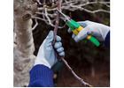 Tree Trimming & Pruning North Shore | North Shore Tree Loppers