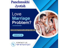 Best Astrologer in USA - Panchmukhi Jyotish