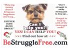 Business opportunity you’ll be glad you found