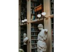 Turn reality TV profits into your income!